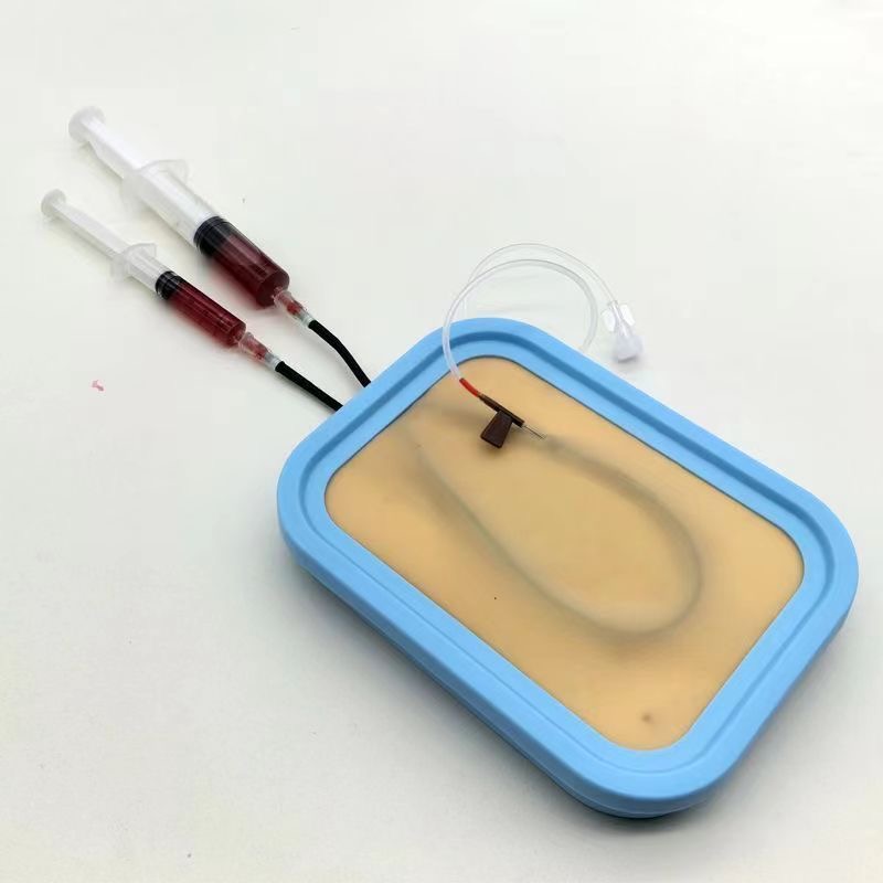Venipuncture Training Kit Sili - đánh giá và giá Model Kit Store