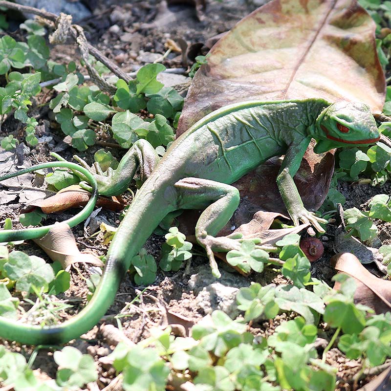 Oenux Nông Trại Hoang Dã Mô Hì - đánh giá và giá Model Kit Lizard