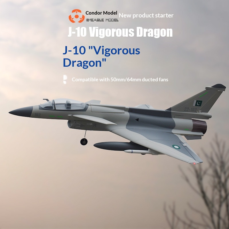 SH-EAGLE MODEL J-10 Vigorous D - đánh giá và giá Model Kit Dragon